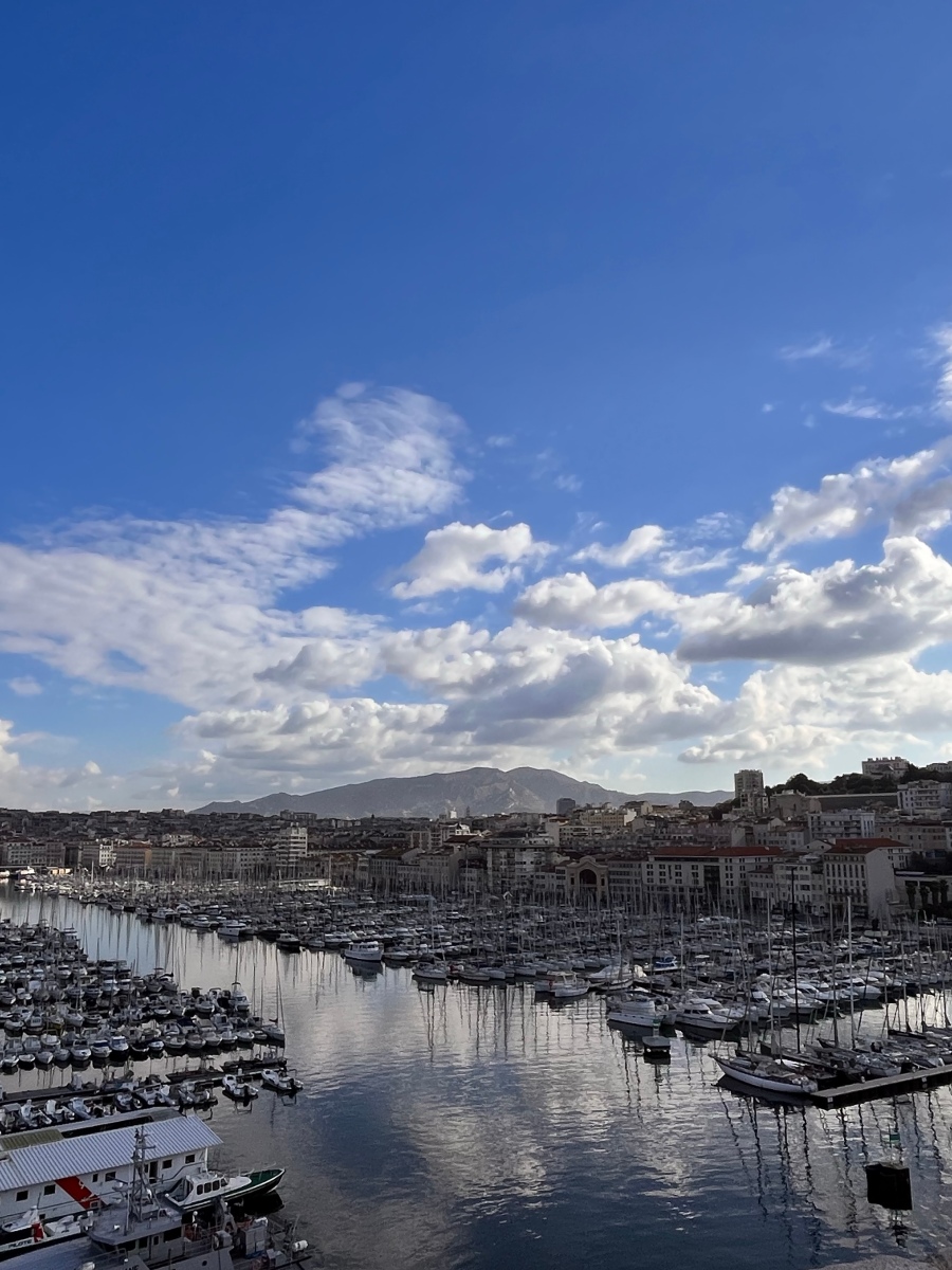 MARSEILLE: A Community of Human Connection – and Dog Poop.